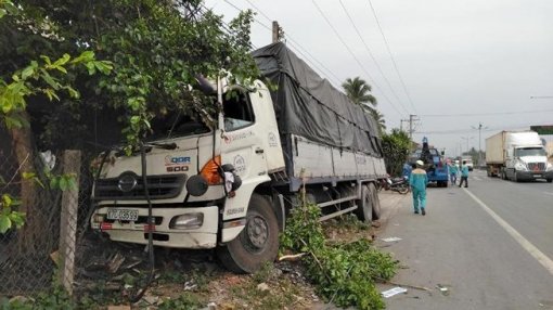 Tiền Giang: Tránh 2 người leo qua con lươn, xe tải kéo sập trụ điện