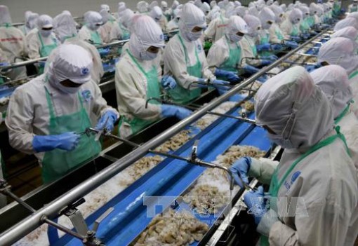 Thực hiện đồng bộ các giải pháp thúc đẩy tăng trưởng kinh tế