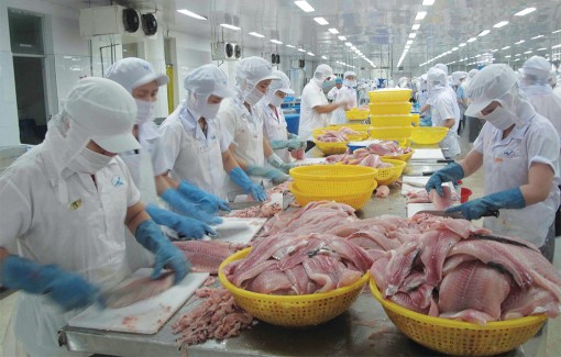 Thuế chống bán phá giá, một hình thức bảo hộ sản xuất