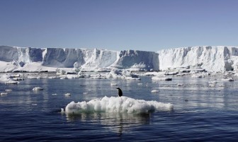 Các tảng băng ở Bắc cực sẽ biến mất trong một vài năm nữa?