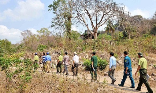 An Giang: 7.256,2ha rừng thuộc vùng trọng điểm cháy