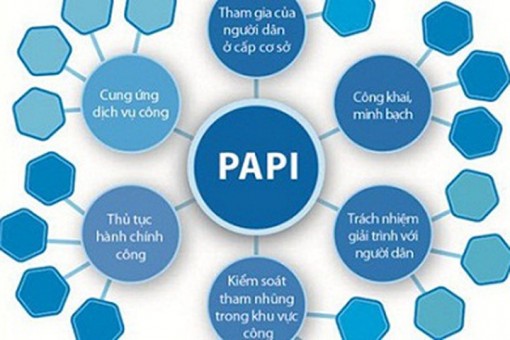 Chỉ số PAPI An Giang thuộc nhóm trung bình cao