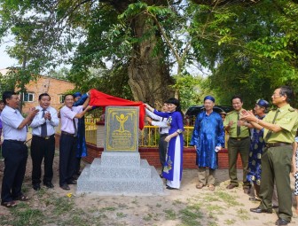 An Giang có thêm 3 cây di sản