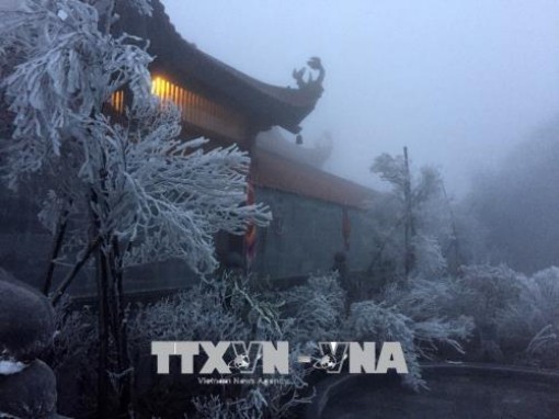 Sa Pa lạnh 5,2 độ C, băng giá phủ trắng đỉnh Fansipan