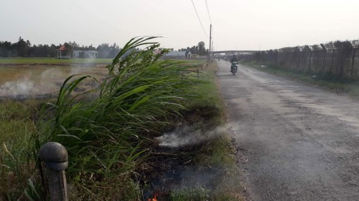 Nguy cơ tai nạn giao thông khi khói đốt đồng bay vào cao tốc Trung Lương – TP.HCM