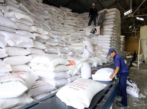 Philippines có thể nhập khẩu thêm 250.000 tấn gạo từ Việt Nam