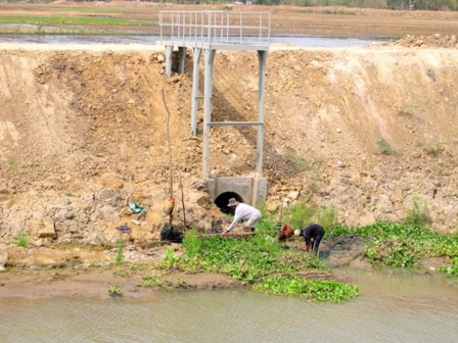 Bến Tre chủ động ứng phó xâm nhập mặn