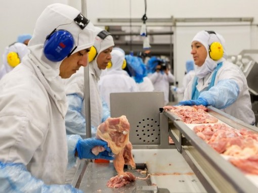 EU đề xuất chấn chỉnh hành vi gian lận trong chuỗi chế biến thực phẩm