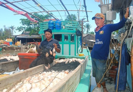 “Cướp biển” mới ở Cà Mau
