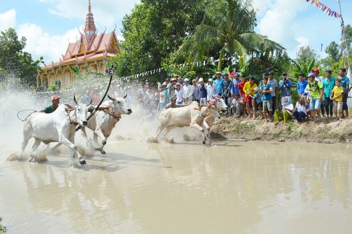 Thể thao gắn liền văn hóa