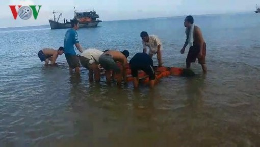 Tàu cá vỡ nước chìm trên biển, 13 ngư dân được cứu sống