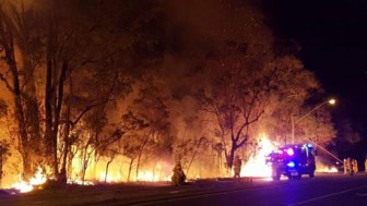 Australia: Cháy hàng nghìn hecta rừng ở ngoại ô Sydney