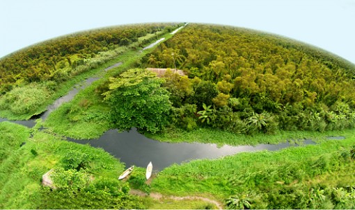 430.000 ha rừng tràm U Minh Hạ khô cạn hoàn toàn