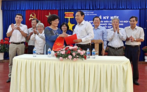 Triển khai đồng bộ nhiều giải pháp quản lý thuế