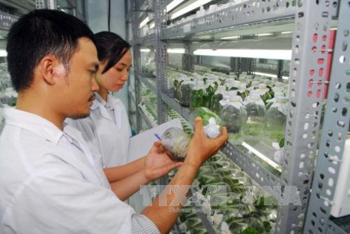 Ngành Nông nghiệp đề xuất cắt giảm 131 điều kiện kinh doanh
