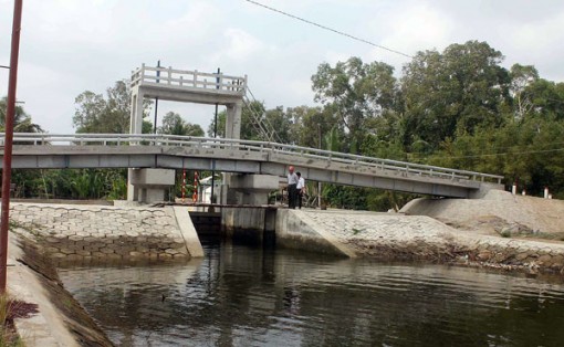 Long An: Cần xây gấp 6 cống ngăn mặn