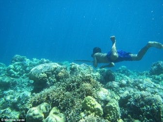 Tộc người Indonesia tiến hoá "như cá", lặn 13 phút không cần thở