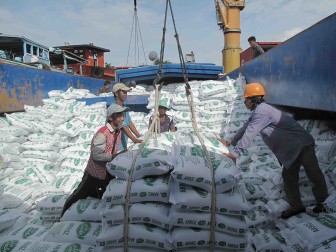 Gạo Việt Nam ngày càng được thị trường ưa chuộng