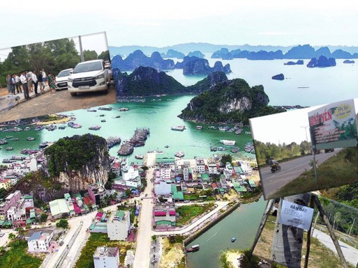 Giảm sốt đất ở đặc khu