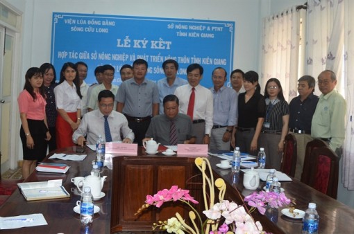 Viện Lúa ĐBSCL ký kết hợp tác với Kiên Giang