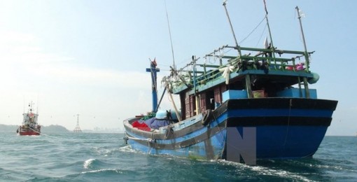EC xem xét 'thẻ vàng' với thủy sản Việt Nam trong tháng 5-2018