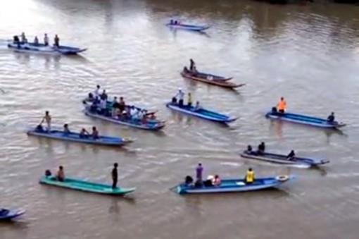 Hàng trăm người cứu hộ cá heo 200kg trên sông Cà Mau