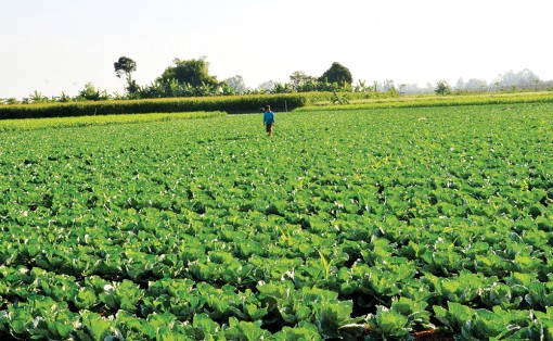 Về thăm “Căn cứ B3”