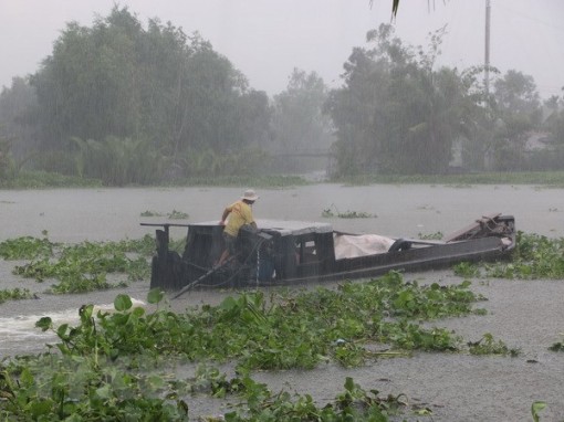 Từ chiều 4-5, mưa dông diện rộng ở khắp Tây Nguyên, Nam Bộ