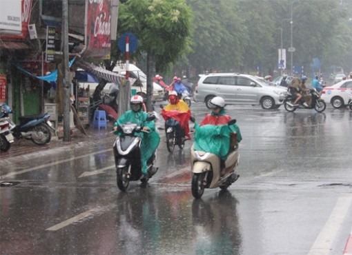 Mưa lớn “giải nhiệt” cho Bạc Liêu