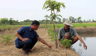 Nông dân “bắt tay” doanh nghiệp sản xuất nông sản sạch