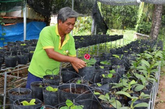 Nâng cao vai trò Hội Nông dân trong tình hình mới