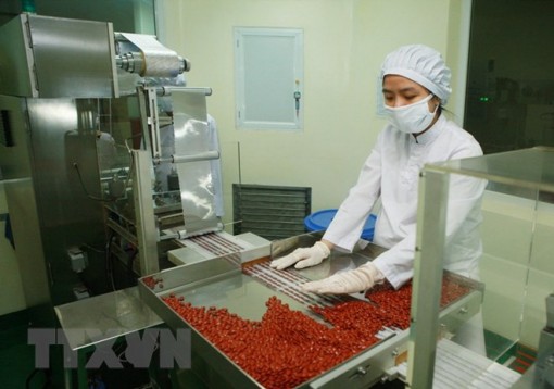 Bộ Y tế đề xuất 1726 thuốc, hoạt chất vào danh mục đấu thầu