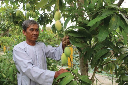 Hết lòng vì cộng đồng