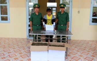 Bắt đối tượng vận chuyển thuê hơn 13kg cần sa từ Campuchia về Việt Nam