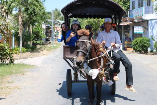 Về cù lao Thới Sơn lắc lư trên xe ngựa, thong dong ngắm miệt vườn