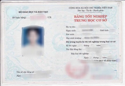 Trưởng Ban Tổ chức Huyện ủy sử dụng bằng cấp 2 giả