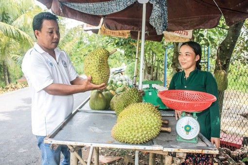 Sôi động thị trường trái cây