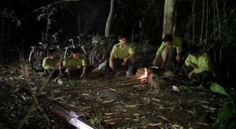 Ngày Kiểm lâm Việt Nam: Những người canh giữ rừng vàng