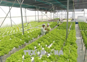 Ứng dụng công nghệ mới phát triển chuỗi giá trị nông sản Việt Nam – Nhật Bản