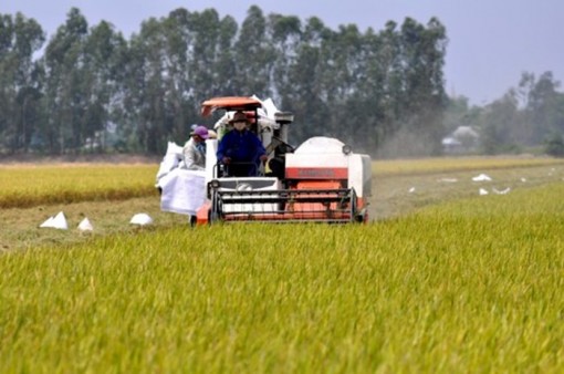 Đồng bằng sông Cửu Long phát triển tăng trưởng xanh