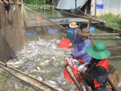 Nhà nước năng động nông dân sáng tạo