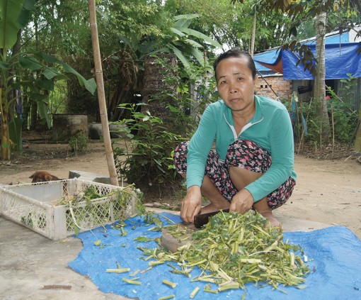 Hãy cứu giúp 2 mảnh đời bất hạnh