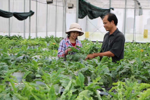 Đồng Tháp trên con đường hội nhập quốc tế về khoa học và công nghệ