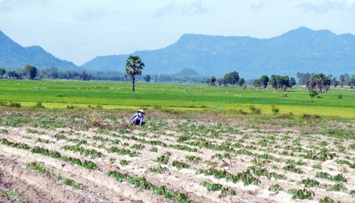 Mùa mưa Bảy Núi