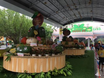 Nhiều loại trái cây, củ quả “độc, lạ” tại Lễ hội Trái cây Nam bộ năm 2018