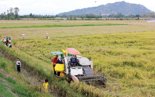 Xây dựng Đảng gắn với phát triển kinh tế