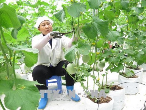 Những chính sách nổi bật có hiệu lực từ tháng 6-2018