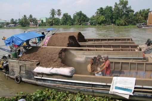 Phân rơm khan hiếm, giá tăng cao