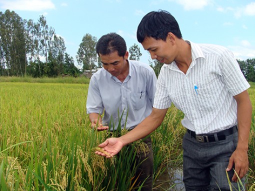 Sản xuất nông nghiệp thời biến đổi khí hậu