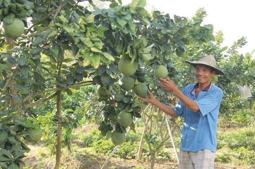 Chợ Mới gỡ khó cho 3 xã phấn đấu về đích nông thôn mới